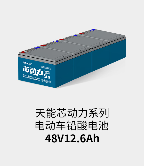 48v12ah
