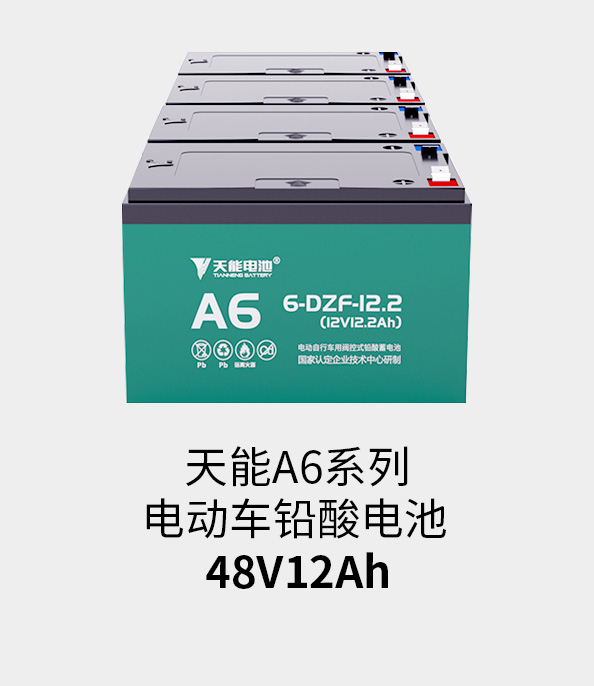 48v12ah