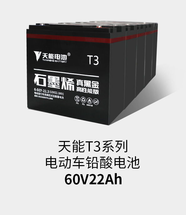 T3ϵ60v22ah